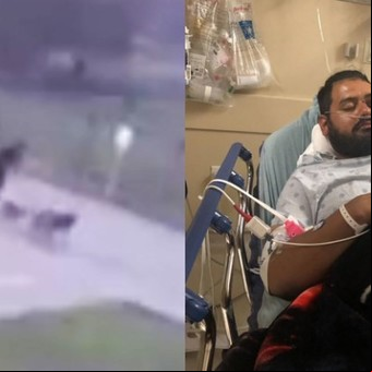 Terrible instante: un rayo impacta a un hombre mientras pasea a sus perros
