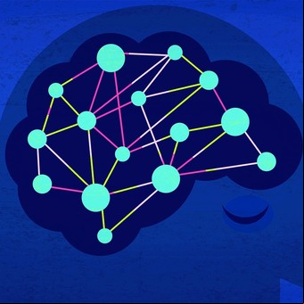 Cómo se desarrolla el cerebro de un niño prematuro