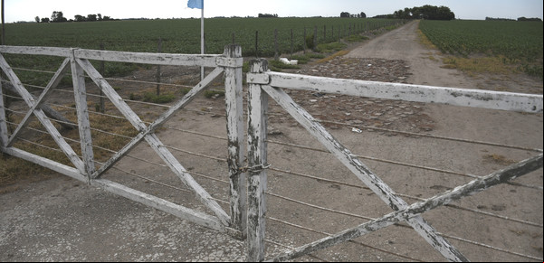 "Despapelización": ARBA anunció que enviarán de forma digital la boleta del Inmobiliario Rural