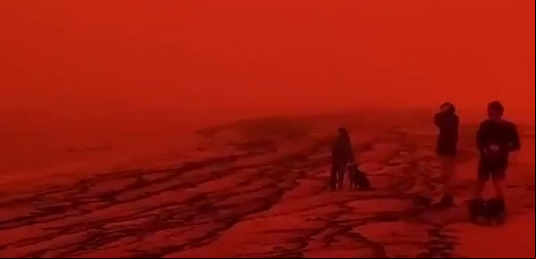 Video: del fracaso de la cumbre de Madrid a los incendios en Australia, causas y consecuencias del calentamiento global
