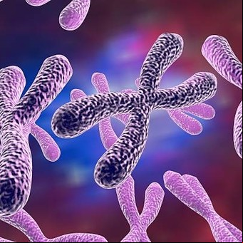 Descubren por qué los hombres tienen más riesgo de cáncer que las mujeres