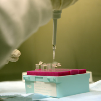 Streptococcus pyogenes: diez preguntas clave para entender la enfermedad invasiva y a quiénes afecta