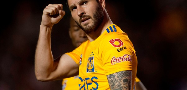 Necaxa - Tigres: horario y dónde ver el partido de la Liga MX por TV