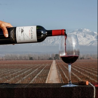 Una marca argentina de vinos fue elegida como "la más irada del mundo"