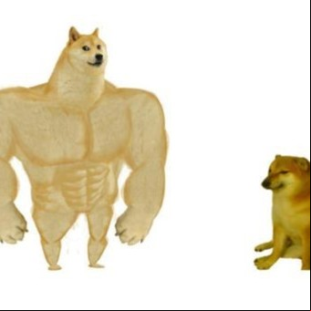¿Adonde fue la virilidad perdida? Lo que muestra el meme de los perritos
