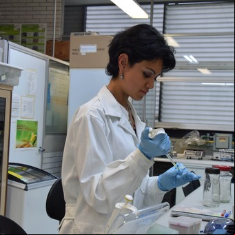 Coronavirus: estudian en México un medicamento que cura la hepatitis C para neutralizar el Covid-19