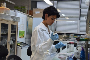 Coronavirus: estudian en México un medicamento que cura la hepatitis C para neutralizar el Covid-19