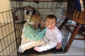Tiene 4 años, le envió una carta a su perrita fallecida y al día siguiente el correo le entregó la respuesta