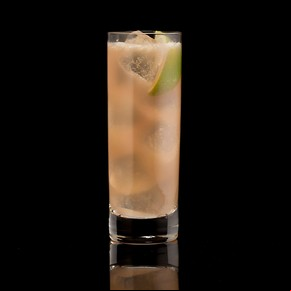 Paloma