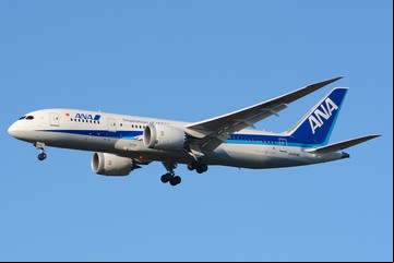 Un avión regresó al aeropuerto después que un pasajero mordiera a una azafata