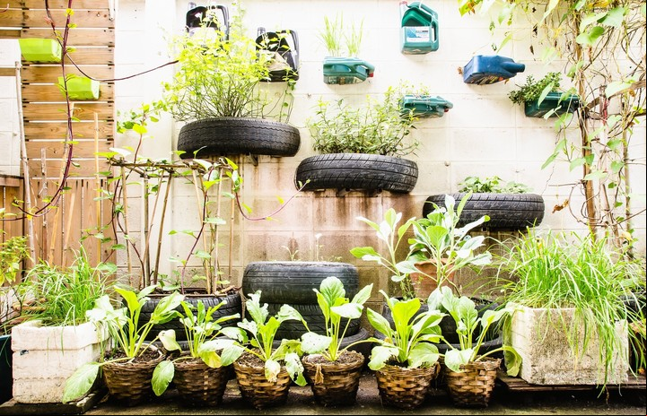Un rinconcito natural en casa. Foto: Shutterstock.