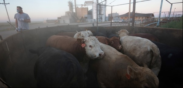 Es urgente reducir los gases de efecto invernadero debidos a la producción de alimentos