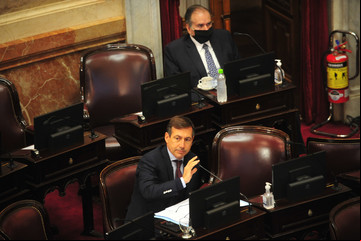 Luis Naidenoff, sobre los 116 decretos aprobados: "El Senado fue un carnaval de proyectos de impunidad"