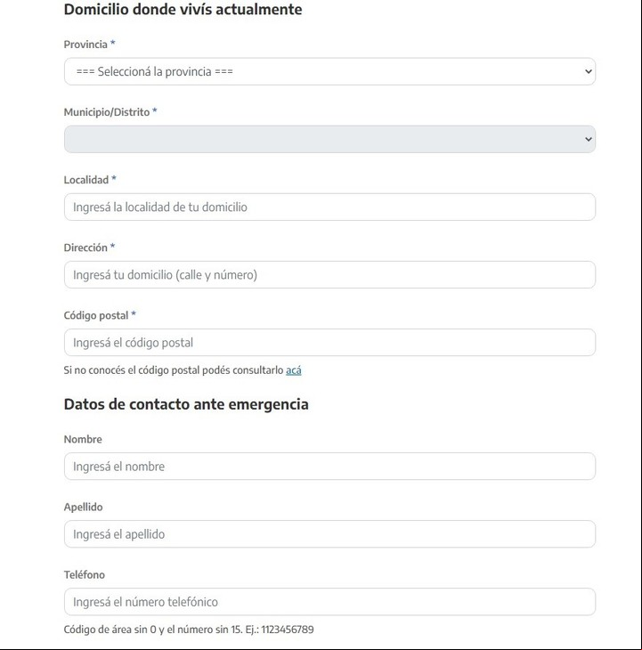 Así se ven los campos a completar para obtener el Certificado Verano. Captura