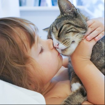 Hallan beneficios en el vínculo entre niños con autismo y los gatos