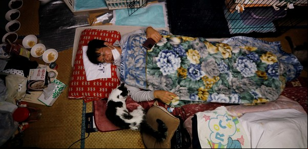 Dejó todo para cuidar a 41 gatos abandonados tras el desastre nuclear de Fukushima