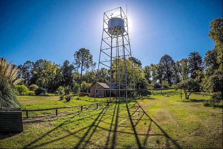 Vivero municipal Cazón.