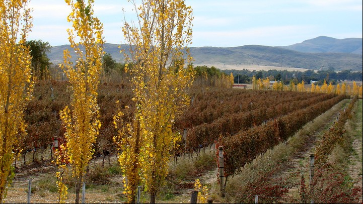 Visitas a la bodega y aventura en Sierra de la Ventana. Foto: Bodega Saldungaray