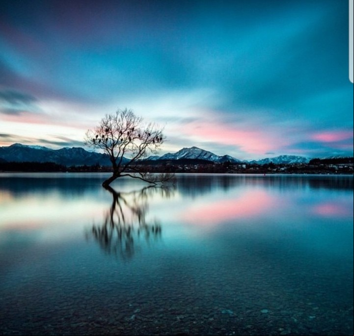 El Lago Wanaka, con el atractivo del árbol solitario que tiene en el medio.