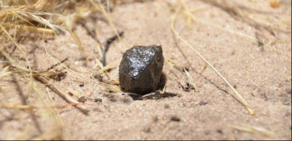 Una roca que cayó en África vino de Vesta, el segundo asteroide más grande de nuestro sistema solar