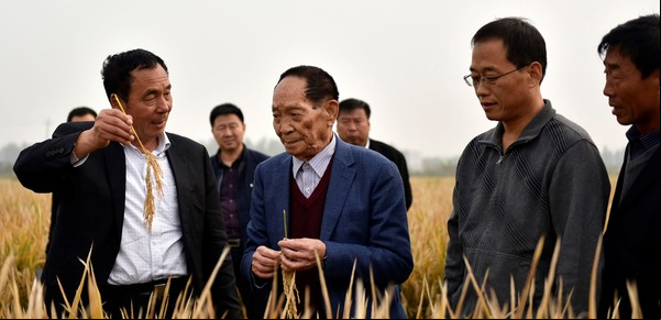 Cómo derrotar al hambre en China de la mano de Yuan Longping, el "padre del arroz híbrido"
