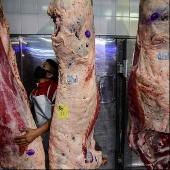 Agosto marcó el récord de faena de bovinos en 2022