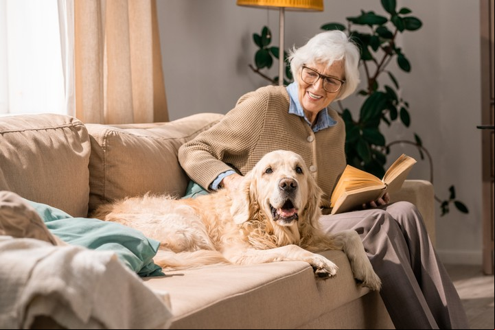 En Argentina, entre los adultos mayores con mascota, el 90% tiene perro. Foto ilustración Shutterstock.