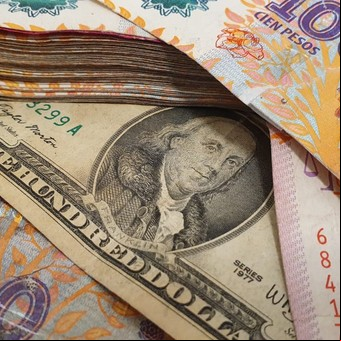 Proteger los ahorros: con el dólar por las nubes, en qué aconsejan invertir