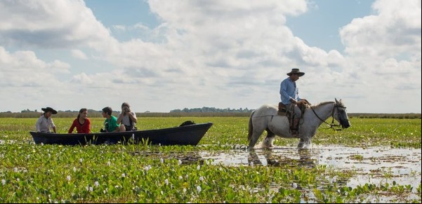 Esteros del Iberá: Un paraíso sin lluvias ni dólares