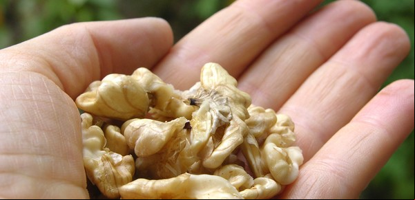 El fruto seco que ayuda a reducir niveles de azúcar y glucosa en la sangre