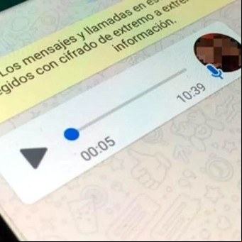WhatsApp: cómo activar el bot que permite transcribir los audios a texto