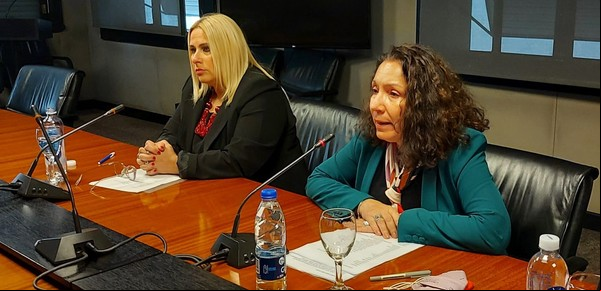 ARA San Juan: la abogada de la querella dijo que en la causa Macri tiene el apoyo de la "derecha nacional e internacional"