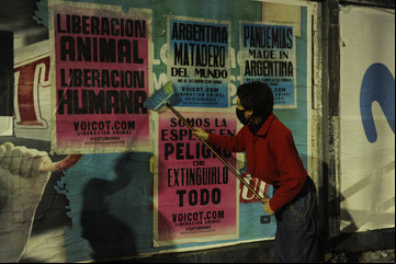 Arde el artivismo animalista que toma las calles