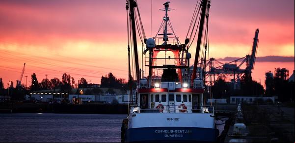 Londres convoca a la embajadora sa y la "guerra de la pesca" entre Gran Bretaña y Francia sigue escalando
