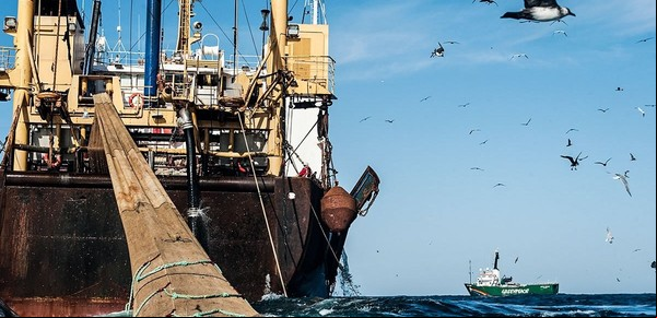 Las Malvinas y la pesca en el Atlántico Sur
