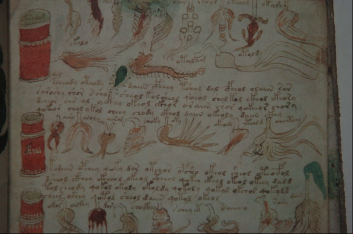 El código Voynich para varios es un documento falso. Foto/archivo