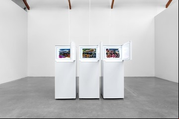 Argentinos que exponen afuera, el regreso de Art Basel a Miami, el Herralde de Novela y la ANBA renovo autoridades