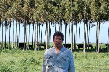 Fuera de la zona de confort: un sistema silvopastoril en campos bonaerenses de cría