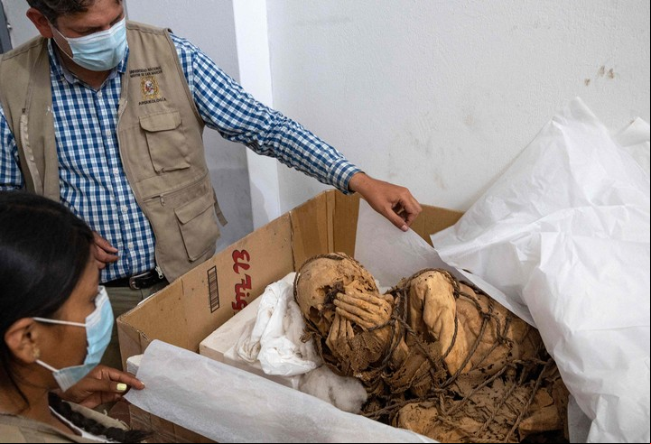 El arqueólogo Pieter Van Dalen y la momia, un hombre joven atado que habría tenido una muerte horrible. Foto: AFP