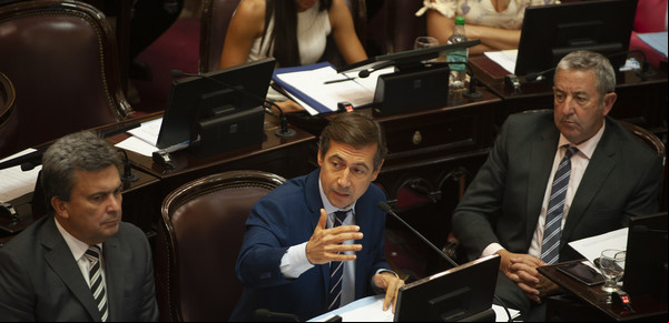 En el Senado, el bloque de la UCR diseña una ecuación para descomprimir las internas