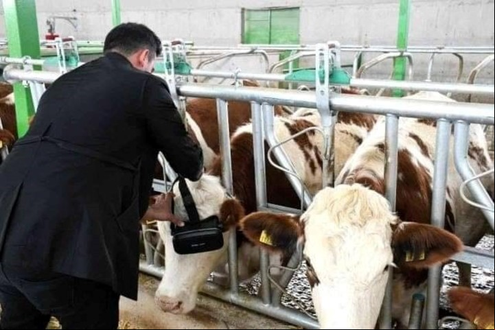 El granjero dice que aumentó casi 25 por ciento la producción de leche. Foto: Anadolu News Agency