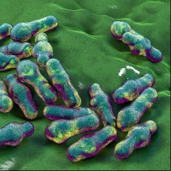 Pandemia de las superbacterias: por qué en 30 años será una de las principales causas de muerte