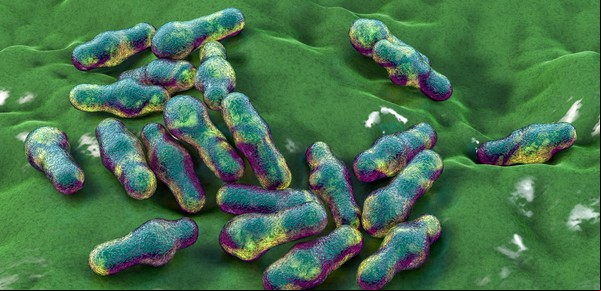 Pandemia de las superbacterias: por qué en 30 años será una de las principales causas de muerte
