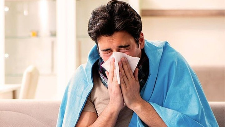 El aceite esencial de eucalipto ayuda a reducir la inflamación en las vías respiratorias y expulsar el moco.