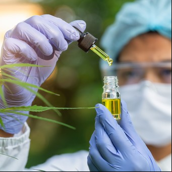 Covid: estudian si el cannabidiol puede inhibir la infección