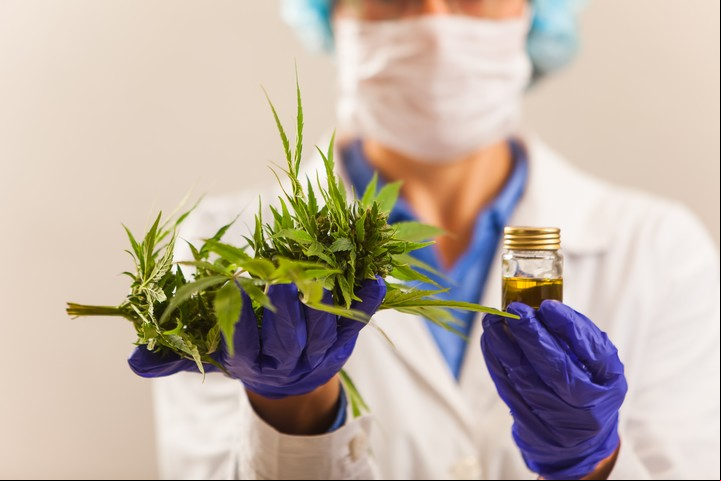 El aceite de cannabis puede conseguirse en farmacias autorizadas que elaboren formulaciones magistrales. Foto Shutterstock.