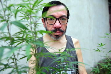 Cannabis medicinal: quiénes pueden cultivar en forma legal y cómo inscribirse en el Reprocann