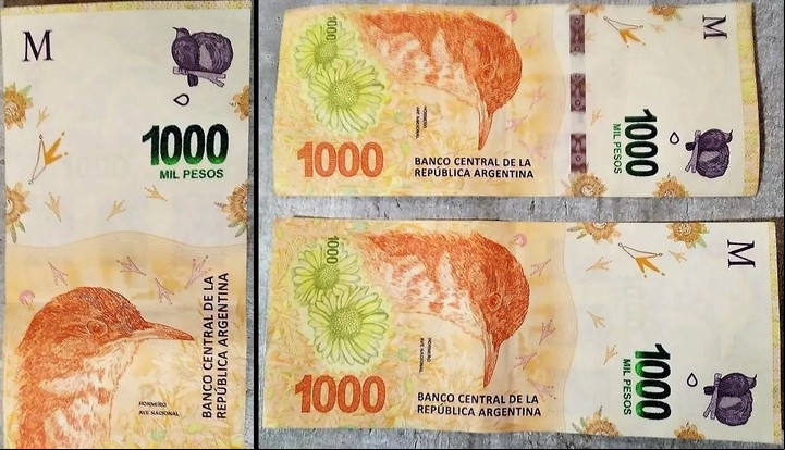 Se detectaron "horneros" sin este elemento, que es clave para determinar la autenticidad, aunque no el único. Imagen: Captura.
