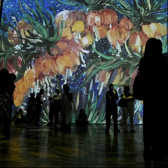 Sigue el furor por Imagine Van Gogh en La Rural