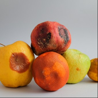 Cómo guardar frutas, verduras y carnes para que duren más: 30 consejos para aplicar ya